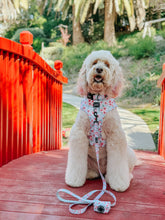 Load image into Gallery viewer, Dog Collar - Sakura
