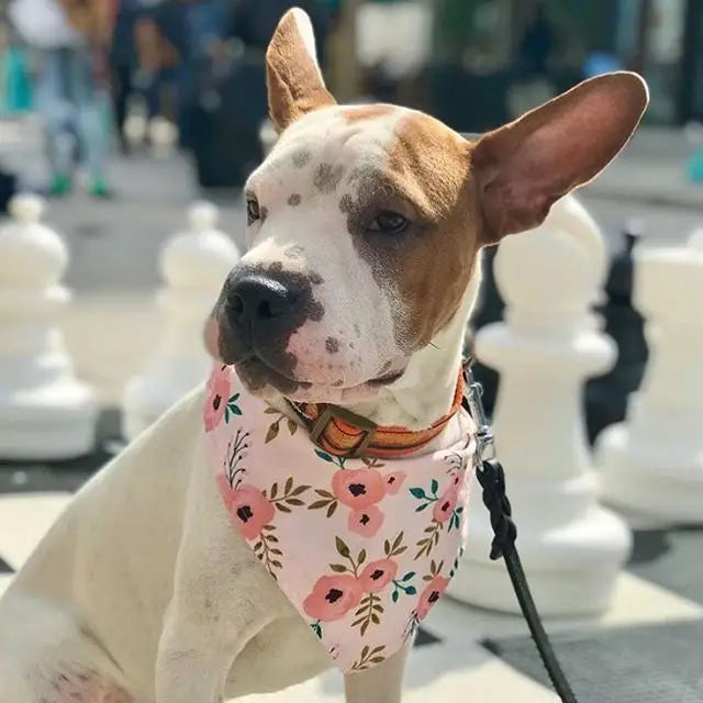 Blush Floral Dog Bandana (Snap-on, 3 sizes available)