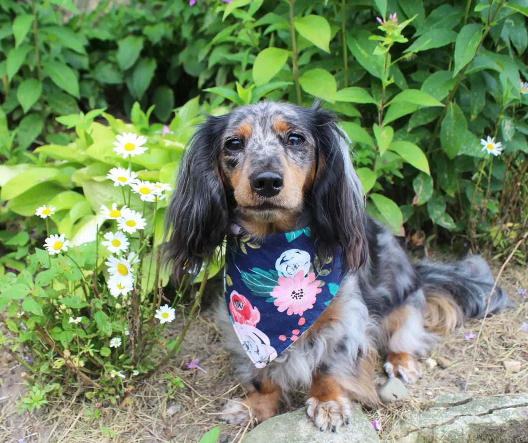 Navy Floral Dog Bandana (Snap-on, 3 sizes available)
